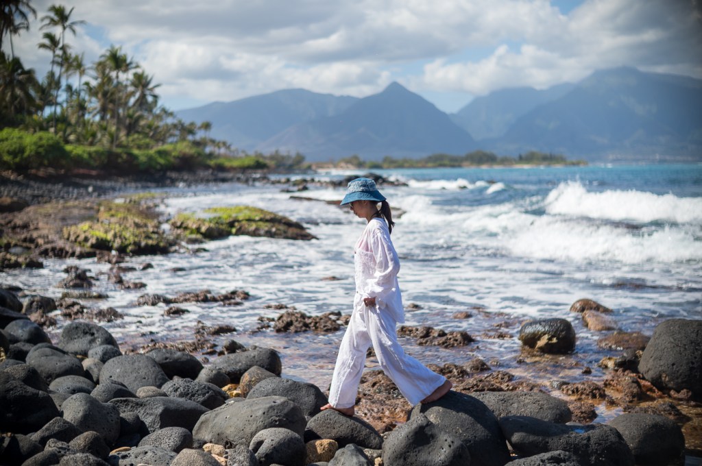 Prehistoric Journey Through&nbsp;Time